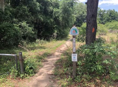 Fort McCoy / Lake Oklawaha KOA Holiday