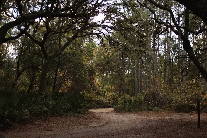 Davenport Landing Trailhead, Ocala National Forest Picture 1