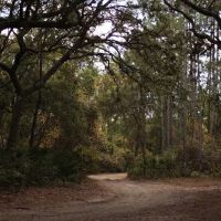 Davenport Landing Trailhead, Ocala National Forest ico