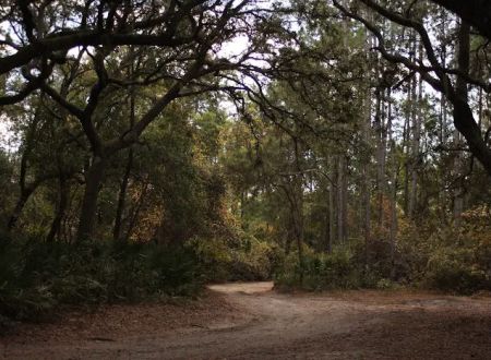 Davenport Landing Trailhead, Ocala National Forest