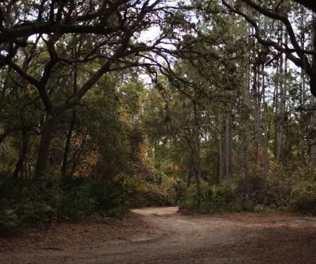 Davenport Landing Trailhead, Ocala National Forest