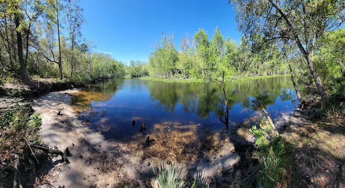 Davenport Landing Trailhead, Ocala National Forest Picture 7