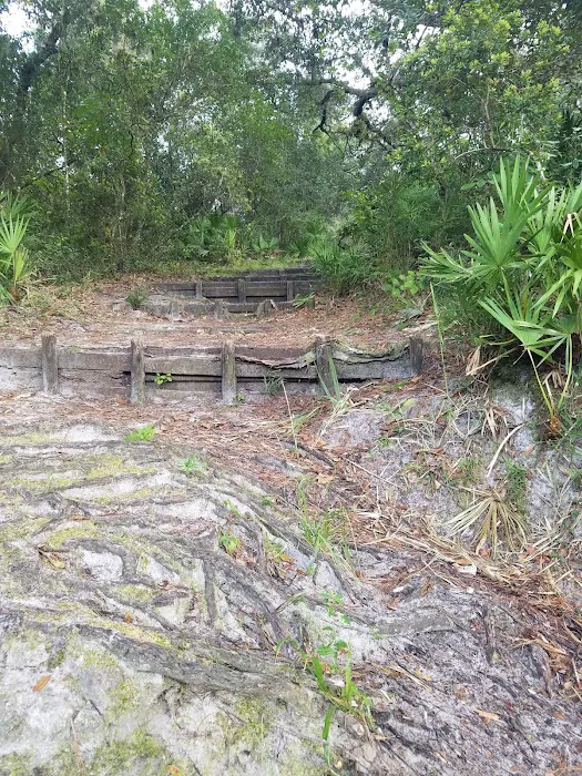 Davenport Landing Trailhead, Ocala National Forest Picture 4