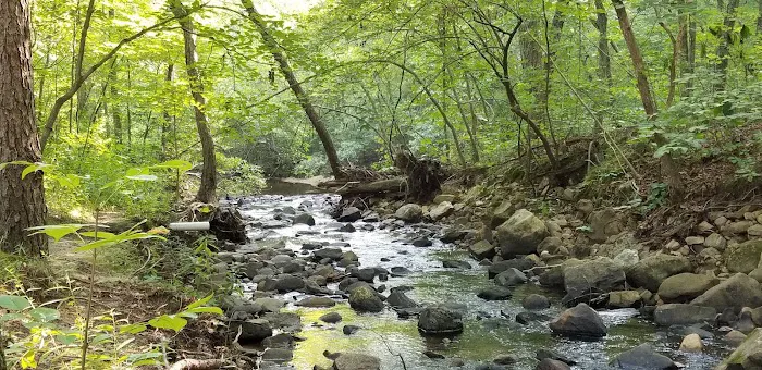 Hawn State Park Campground Picture 6