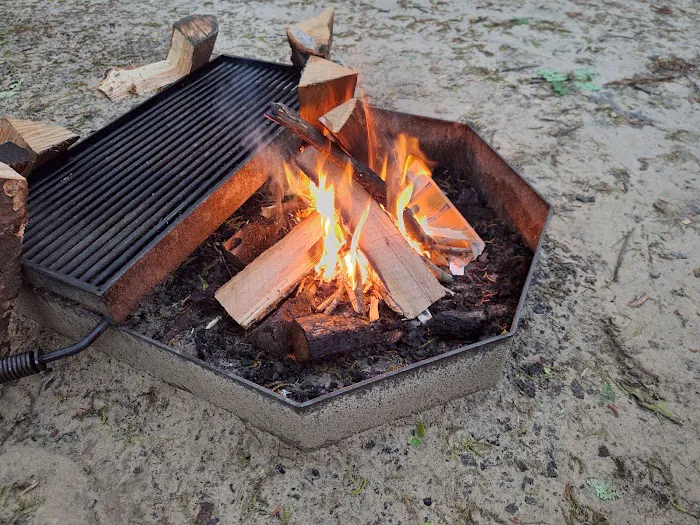 Hawn State Park Campground Picture 3