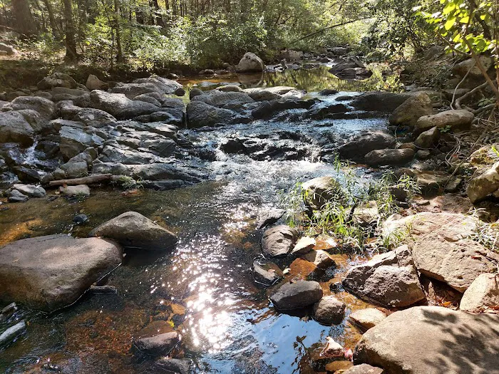 Hawn State Park Campground Picture 4