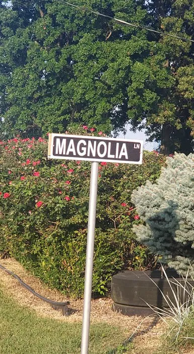 The Magnolia Campground and Store Picture 5