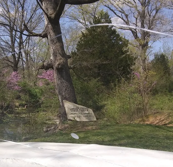 Ethan's Creek Picture 10