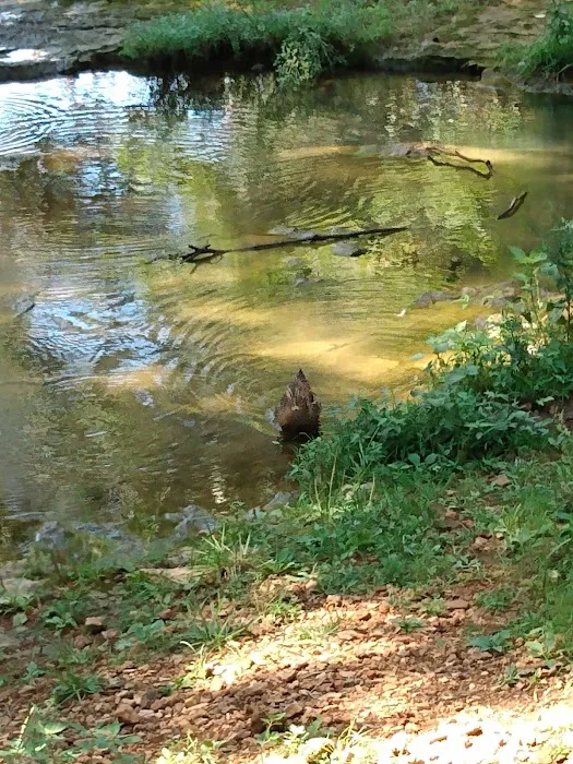 Ethan's Creek Picture 2