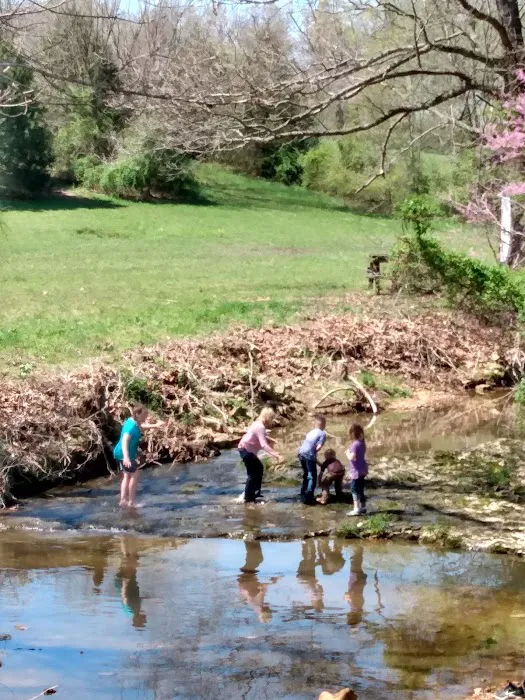 Ethan's Creek Picture 6