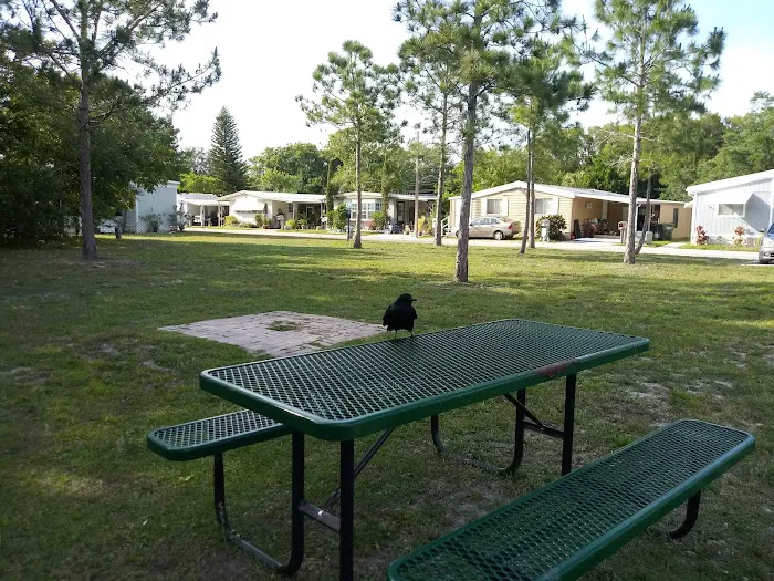 Whispering Pines - Largo Picture 5