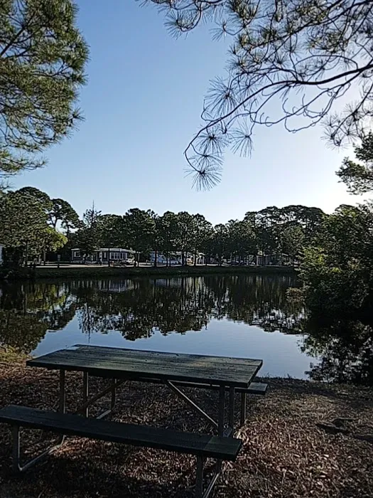 Whispering Pines - Largo Picture 1