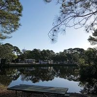 Whispering Pines - Largo ico