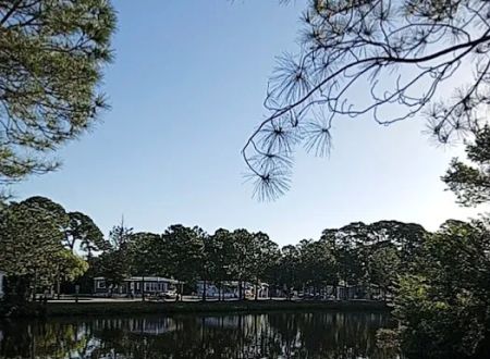 Whispering Pines - Largo