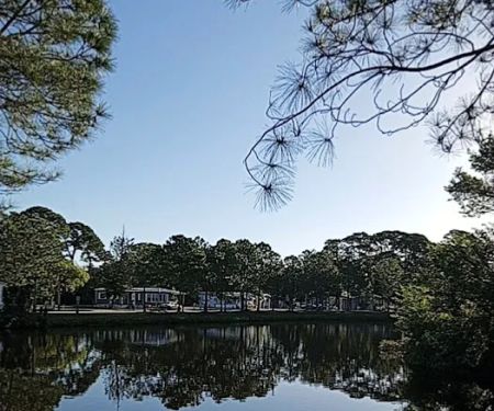 Whispering Pines - Largo