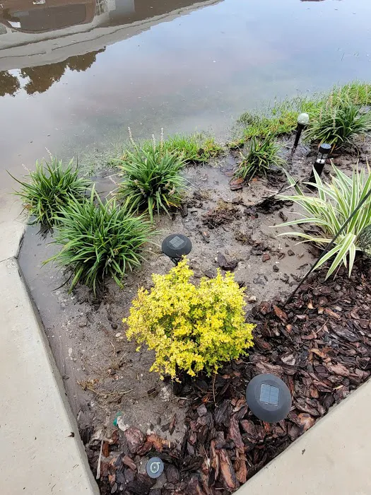 Whispering Pines - Largo Picture 6