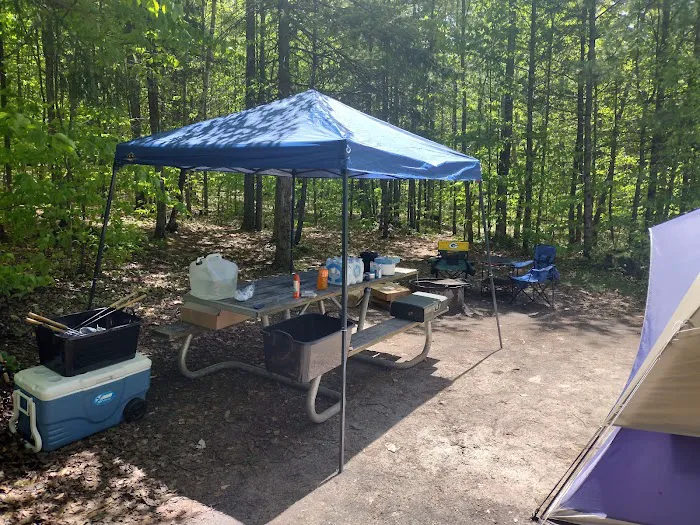 Council Lake Dispersed Campsite Picture 7