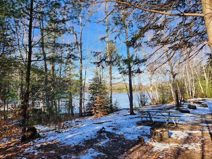 Council Lake Dispersed Campsite Picture 1