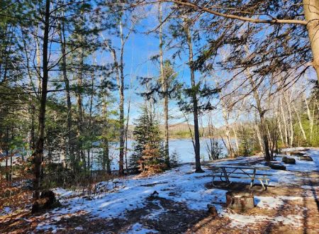 Council Lake Dispersed Campsite