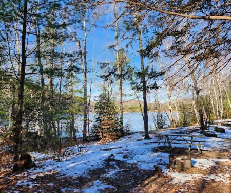 Council Lake Dispersed Campsite