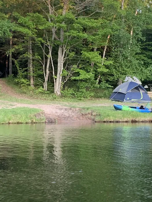 Council Lake Dispersed Campsite Picture 9