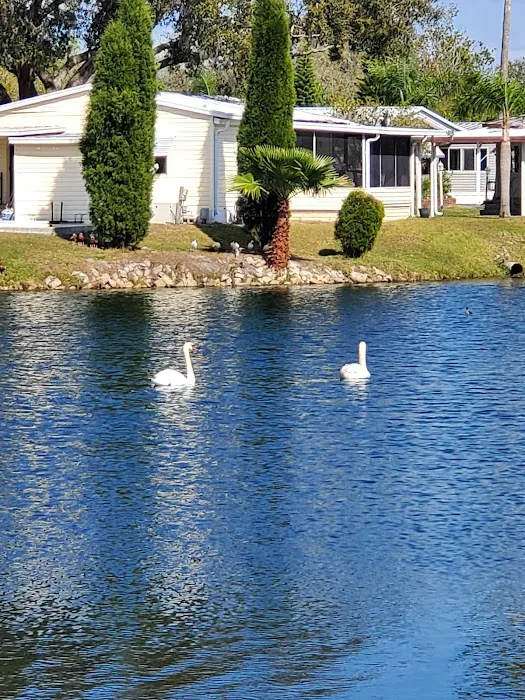 Highland Village Mobile Home Park Picture 6