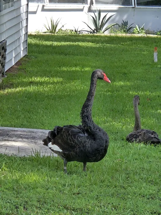 Highland Village Mobile Home Park Picture 8