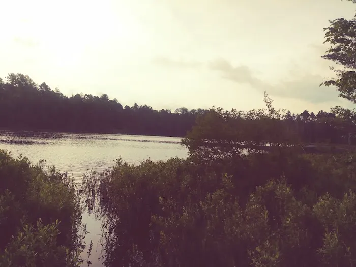 Island Lake Campground Picture 9