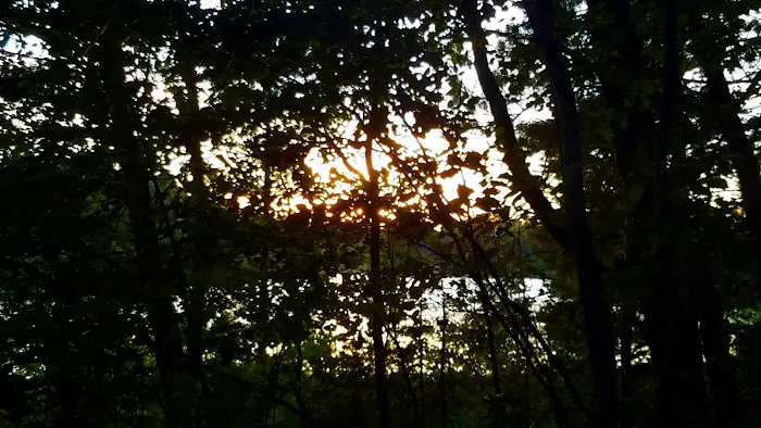 Hovey Lake Campground Picture 6