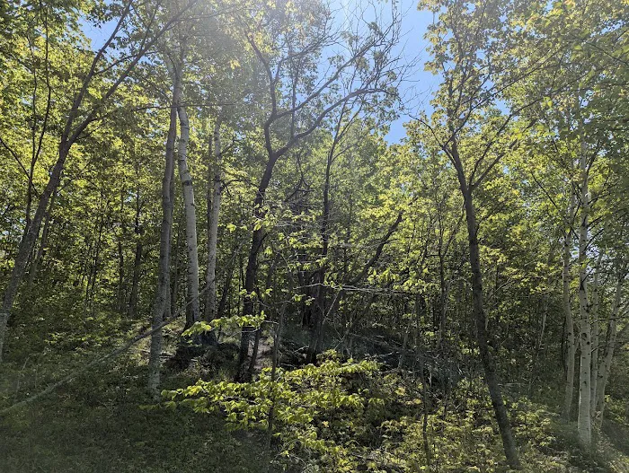 Cliffs Group Campsite Picture 2