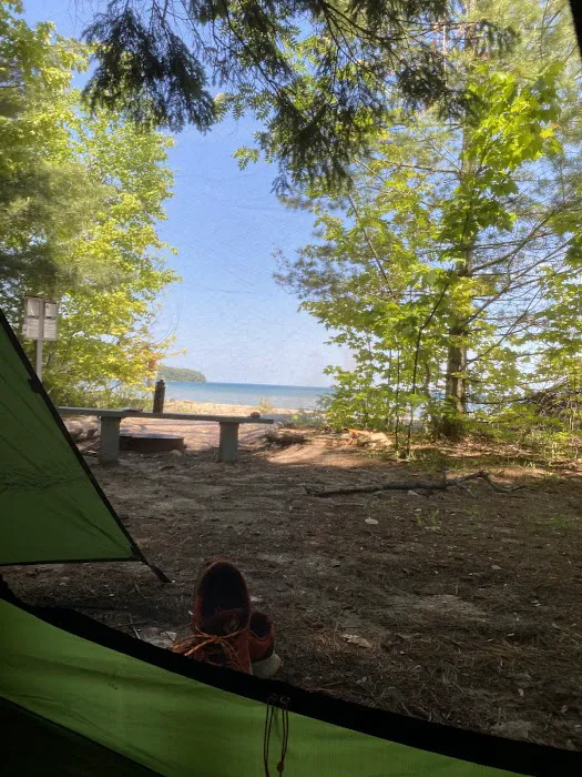 Driftwood Campsite Picture 8