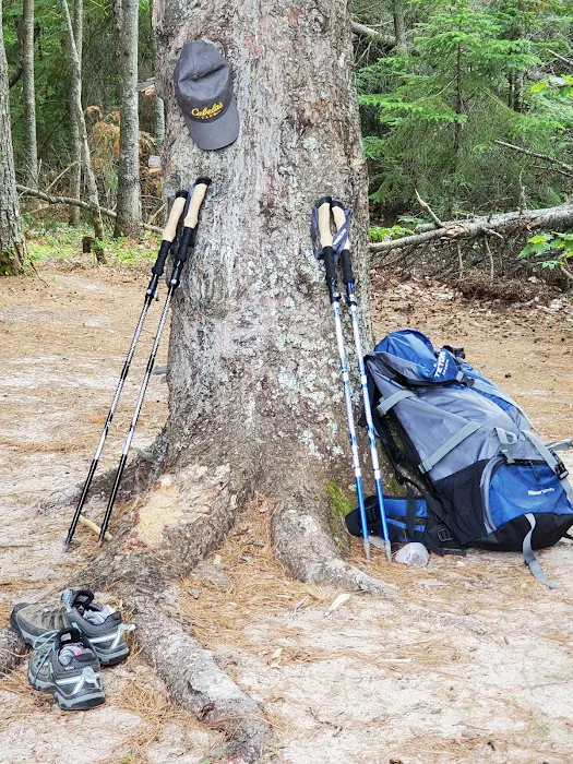 Driftwood Campsite Picture 7
