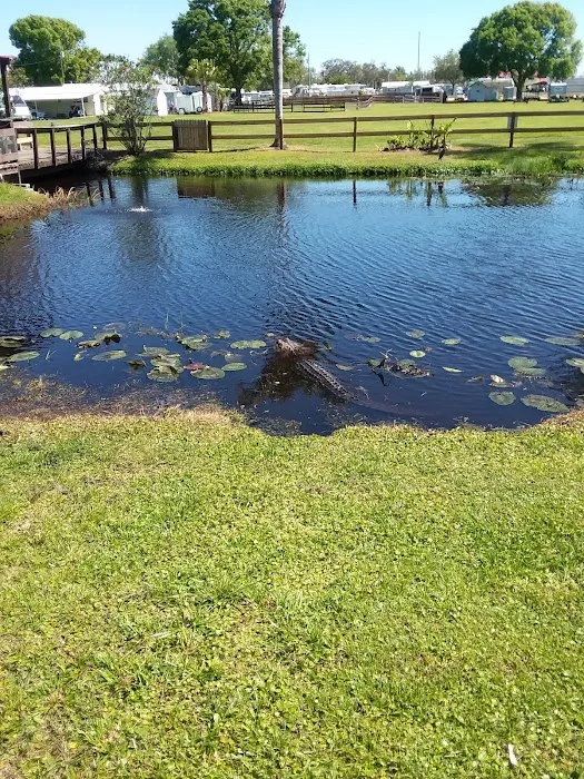 Camp Central RV Parks - North Picture 9