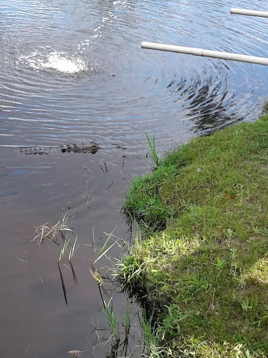 Camp Central RV Parks - North Picture 6