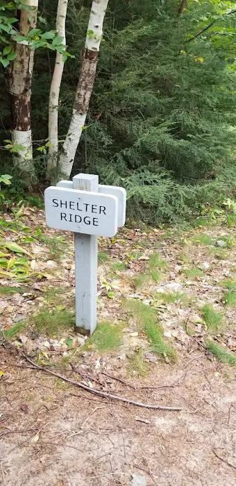 Shelter Ridge Campsite Picture 5