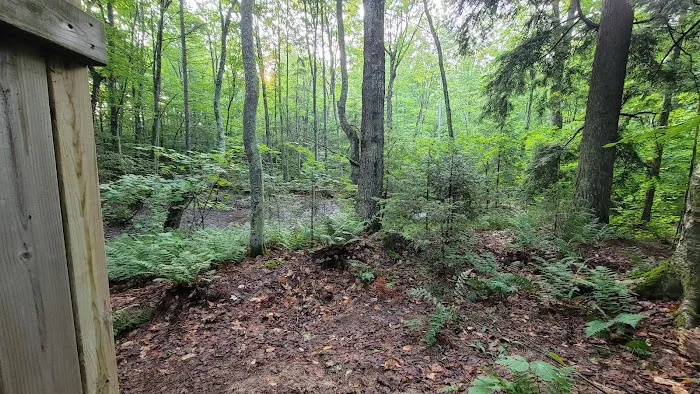 Shelter Ridge Campsite Picture 6