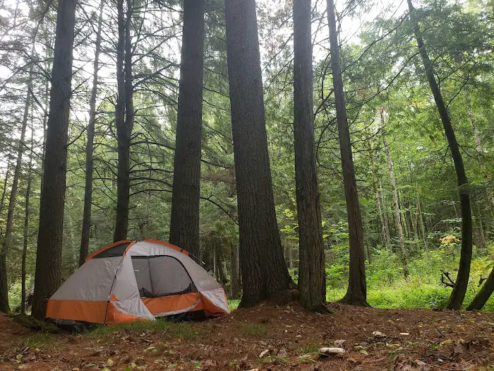 Haymeadow Creek Campsite Picture 10