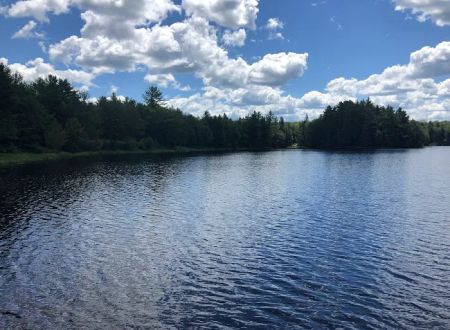 Otter Lake Campground