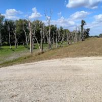 Blanchard Island Campground ico