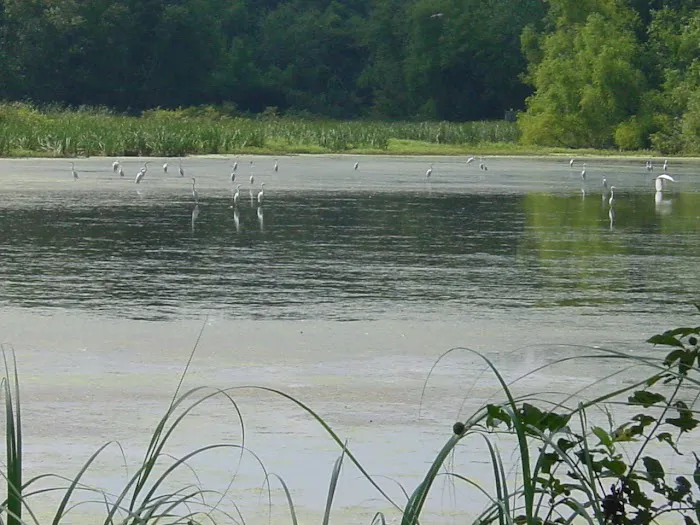 Flaming Prairie Park Picture 10