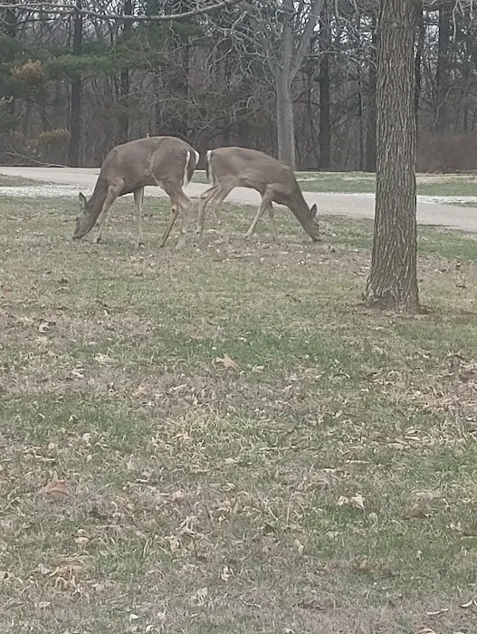 Argyle Lake State Park Campground Picture 5