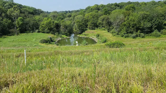 Big Hollow Recreation Area Picture 10