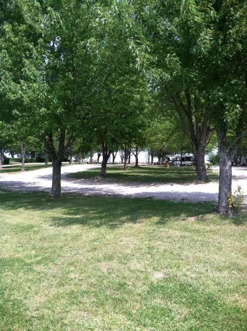 Papa's Paradise Campground Picture 2