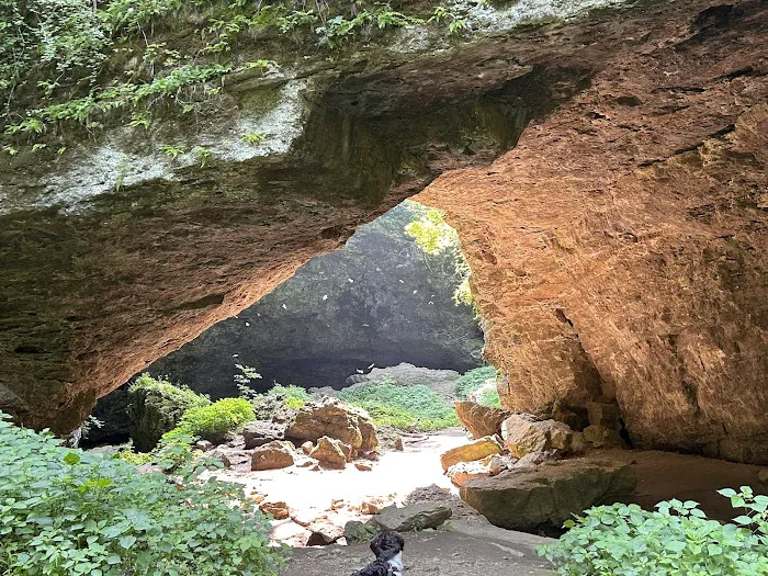 Maquoketa Caves State Park Campground Picture 1