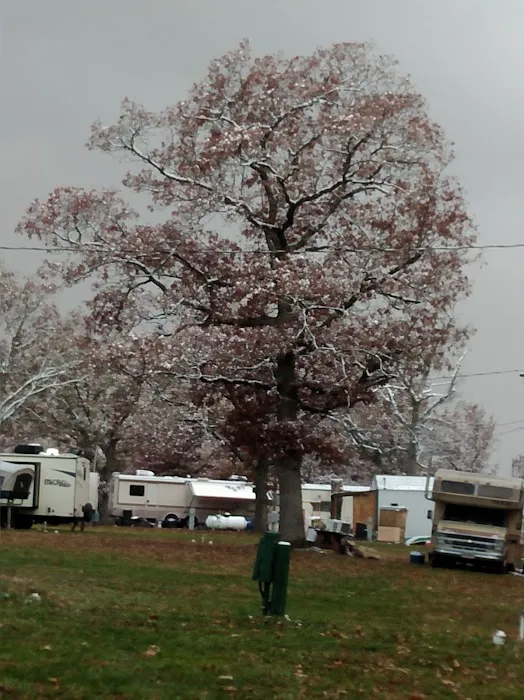 Old Bluegrass Campground Picture 8