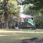 Old Bluegrass Campground