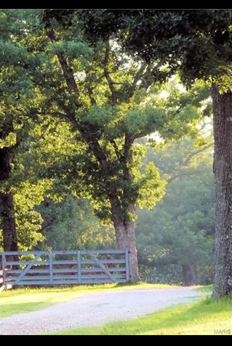 Old Bluegrass Campground Picture 10