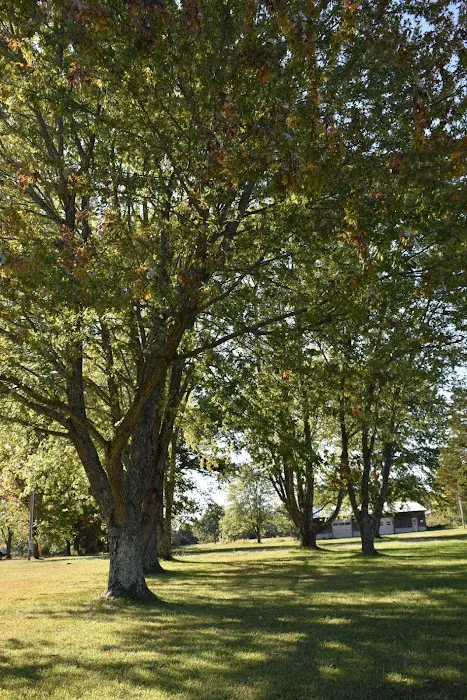 Three Springs RV Park Picture 4