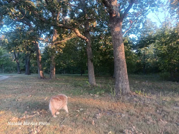 Three Springs RV Park Picture 10