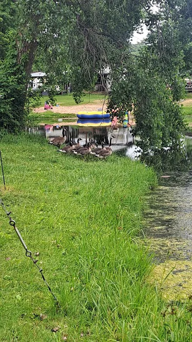 Double K-D Ranch Campground Picture 6